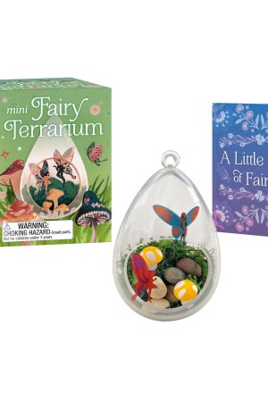Mini Fairy Terrarium