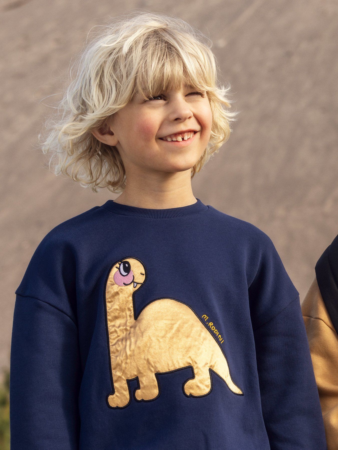 SALE Dino Application Sweatshirt - Image 4
