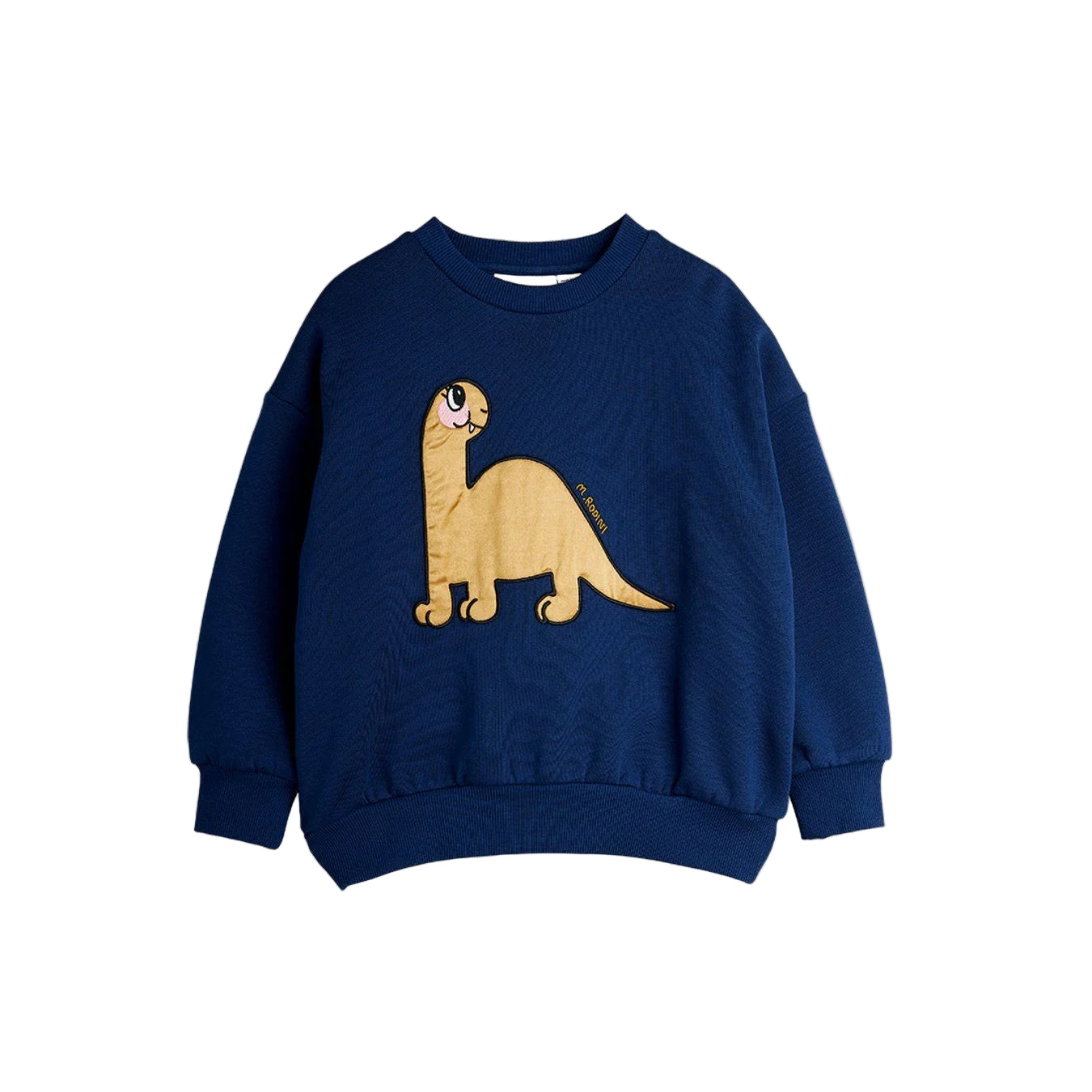 SALE Dino Application Sweatshirt