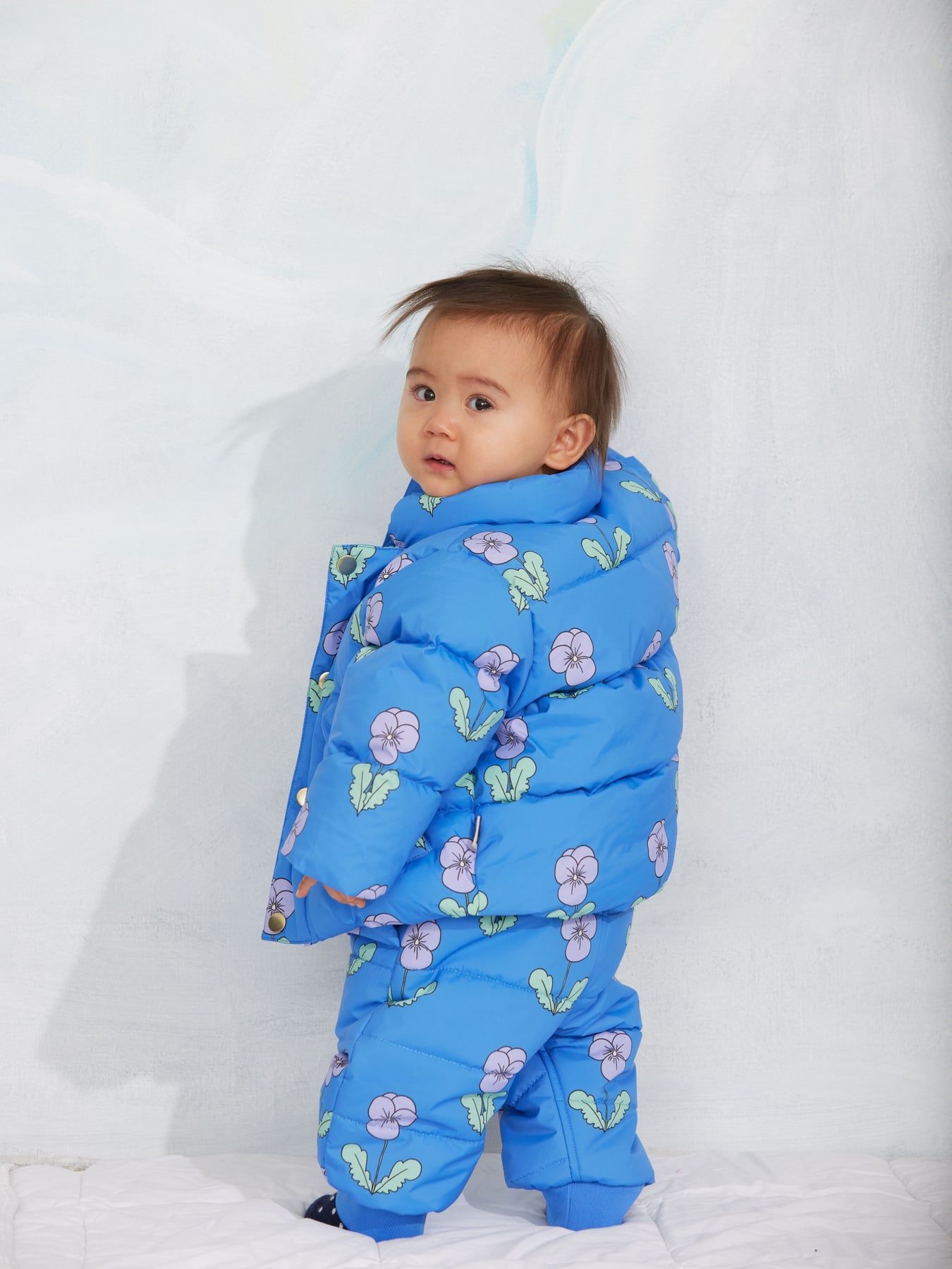 Violas Citypuffer - Image 3