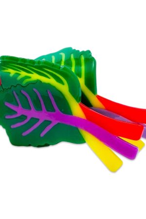 Rainbow Chard Hair Claw