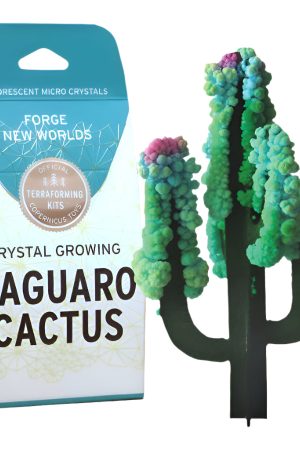 Crystal Growing Saguaro Cactus