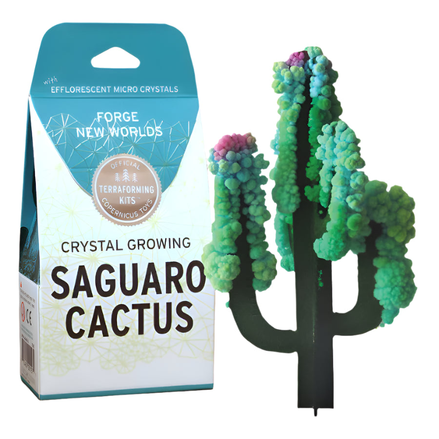 Crystal Growing Saguaro Cactus