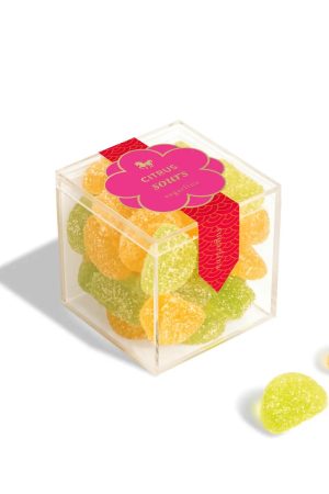 Citrus Sours Gummy Candy