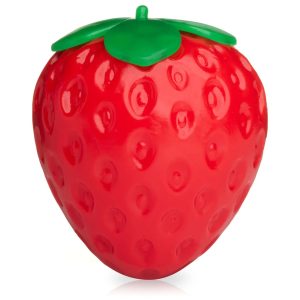 Strawberry Sensory Squishy