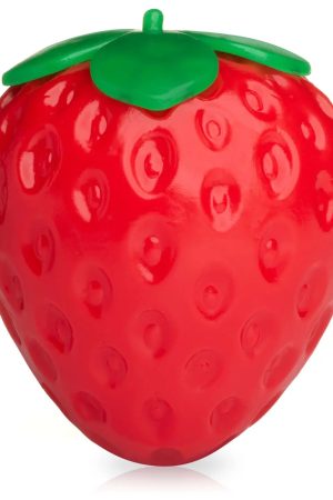 Strawberry Sensory Squishy