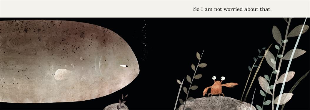 This Is Not My Hat Board Book by Jon Klassen - Image 2