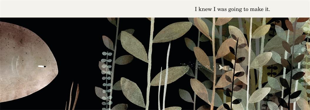 This Is Not My Hat Board Book by Jon Klassen - Image 3