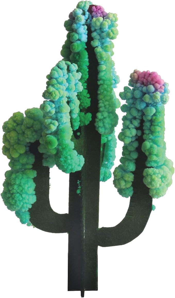 Crystal Growing Saguaro Cactus - Image 2