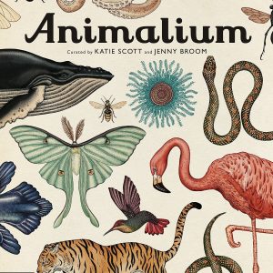 Animalium: Welcome to the Museum Book by Katie Scott & Jenny Broom