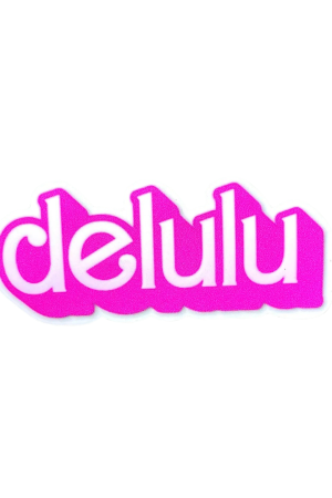 Delulu Vinyl Sticker