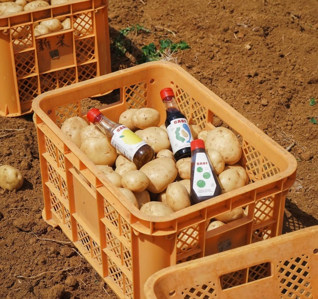 Umami Dashi Soy Sauce - Image 12