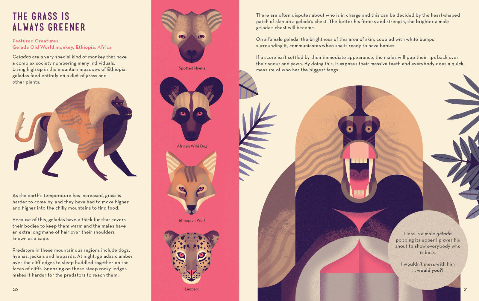 Mad About Monkeys Book by Owen Davey - Image 4