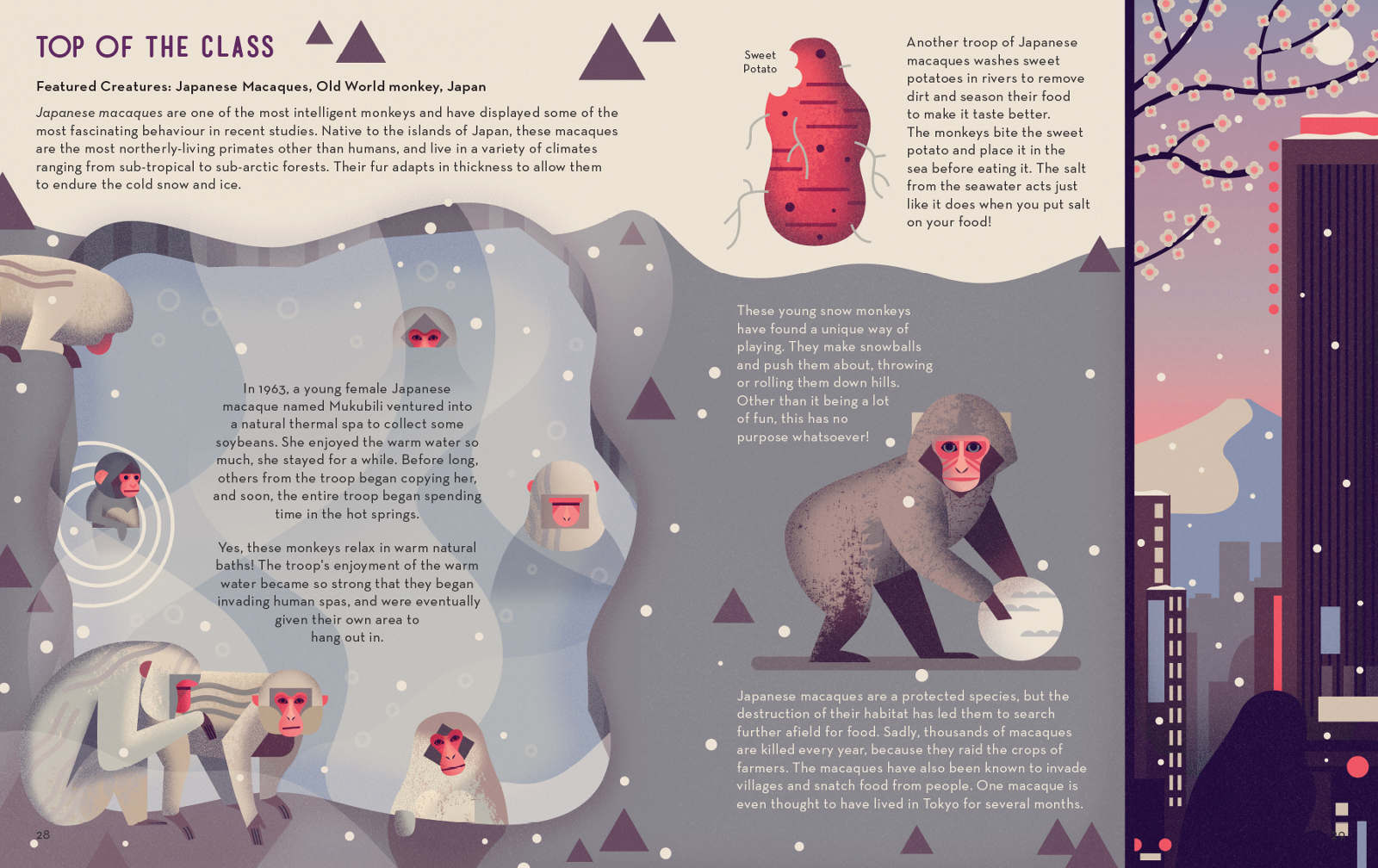 Mad About Monkeys Book by Owen Davey - Image 3