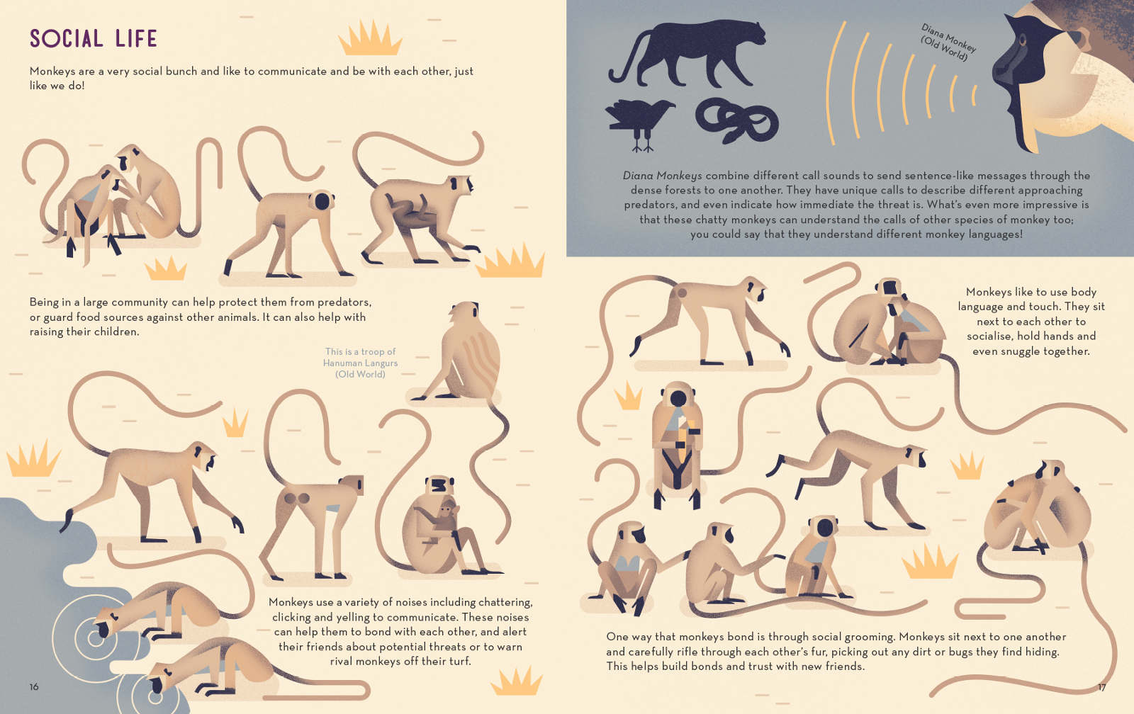 Mad About Monkeys Book by Owen Davey - Image 2