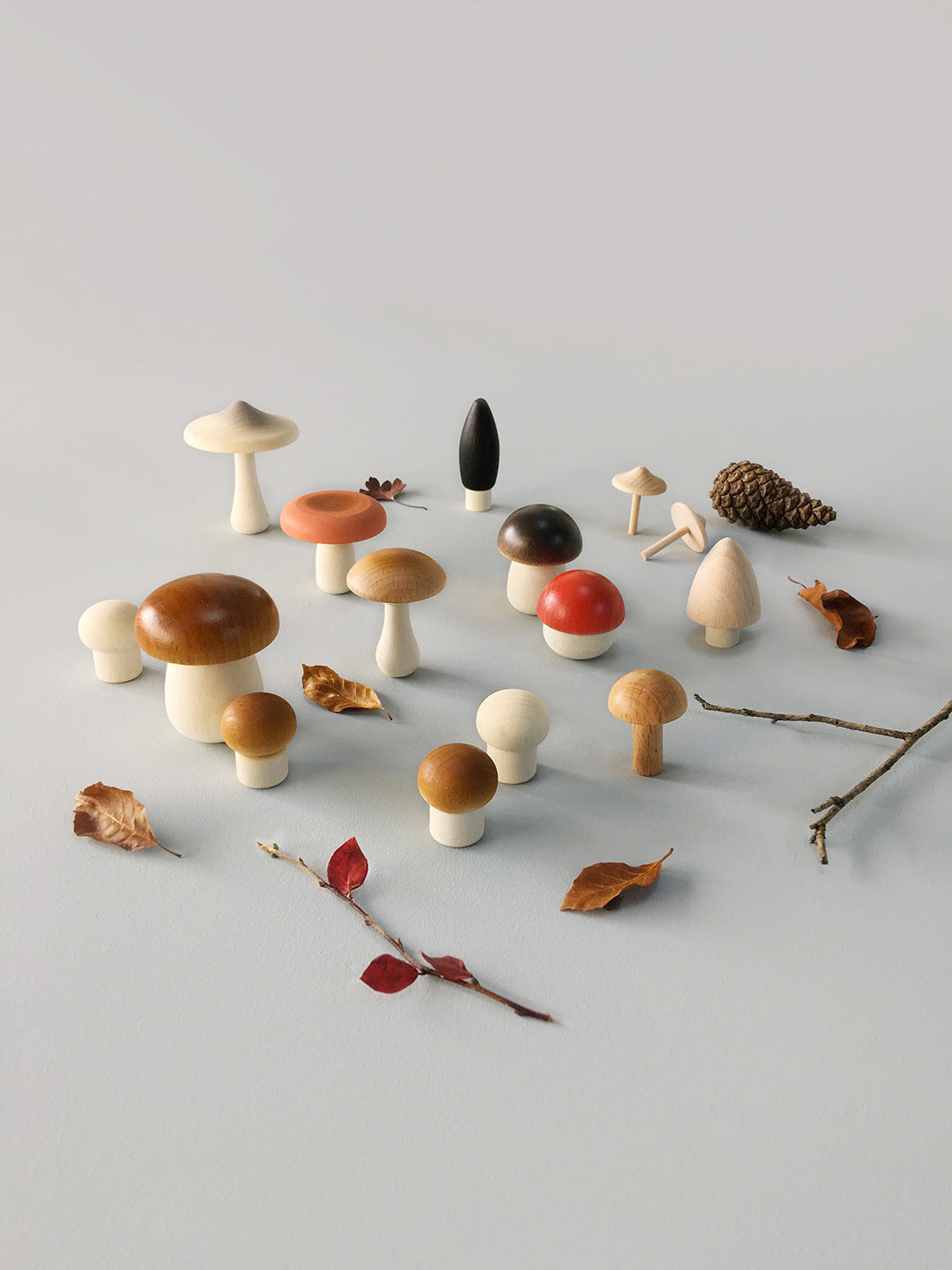 Forest Mushrooms In a Box - Image 3