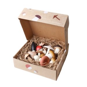 Forest Mushrooms In a Box