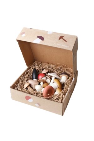 Forest Mushrooms In a Box