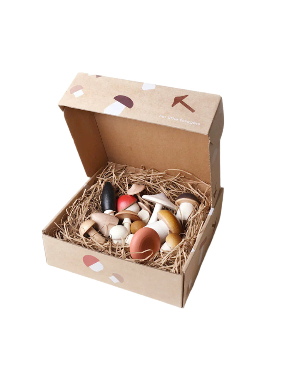 Forest Mushrooms In a Box