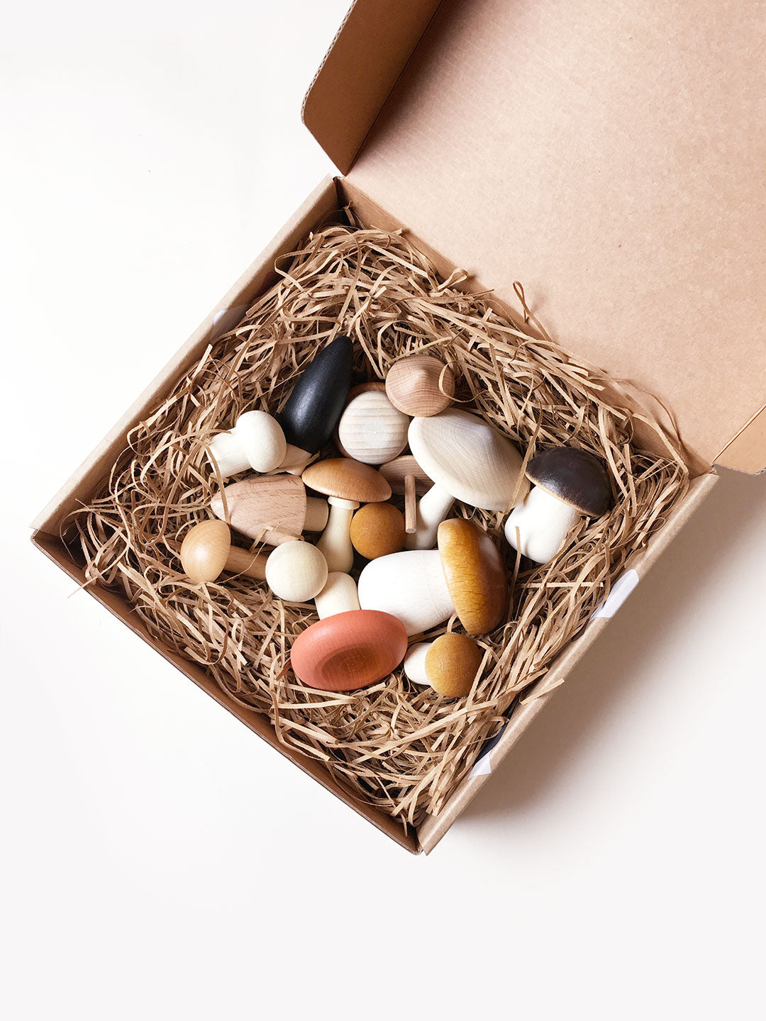 Forest Mushrooms In a Box - Image 4