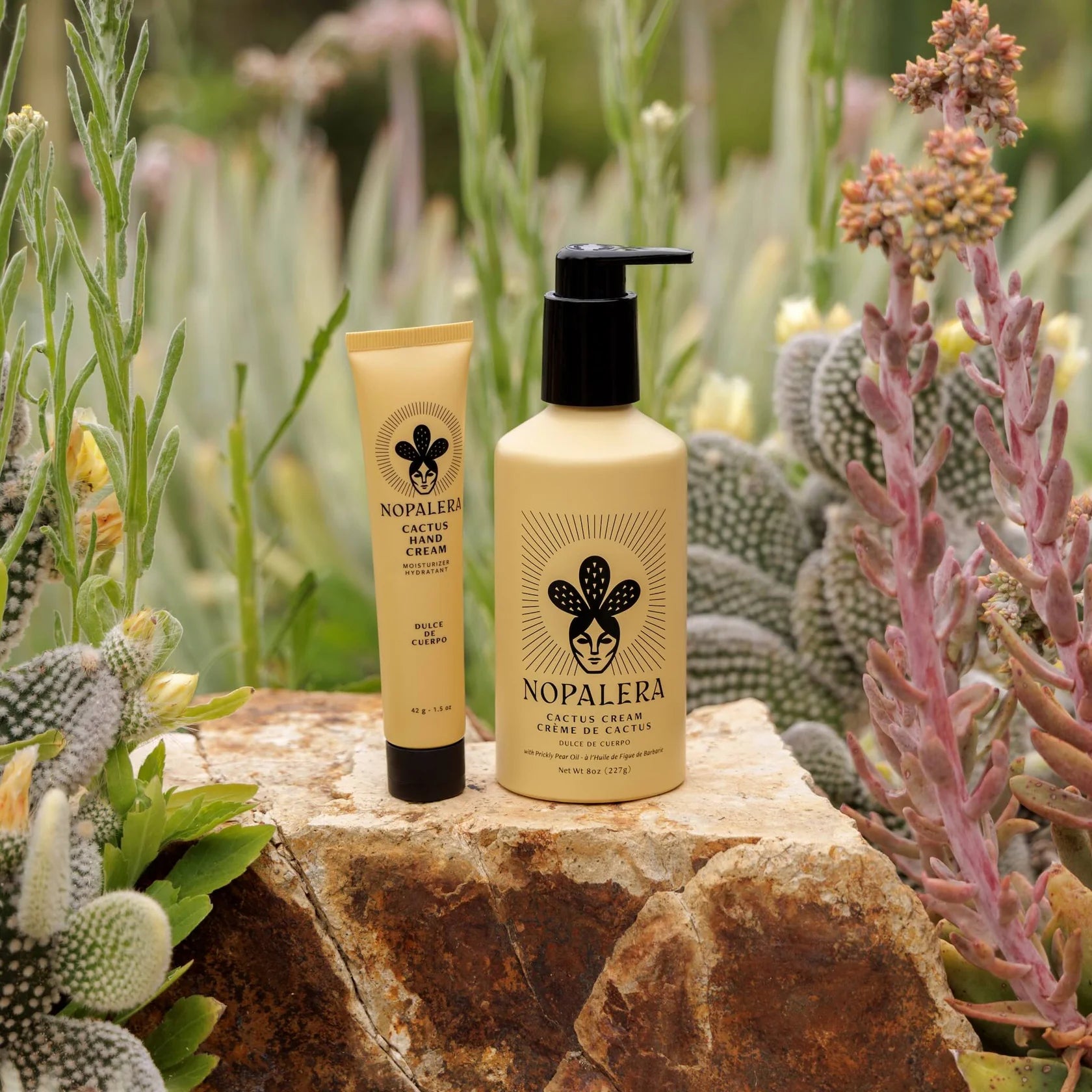 Cactus Body Cream - Dulce de Cuerpo - Image 2