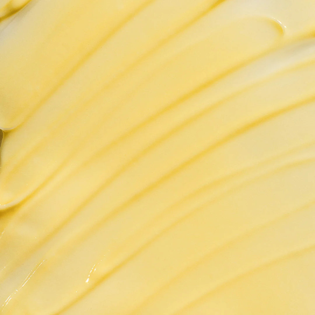Cactus Body Cream - Dulce de Cuerpo - Image 3