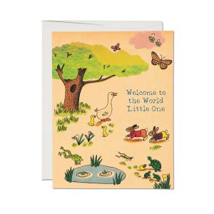 Whimsy Hollow Baby Card