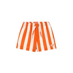 SALE Stripe Twill Shorts