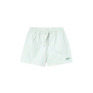 Cyan Fine Stripes Swim Trunks