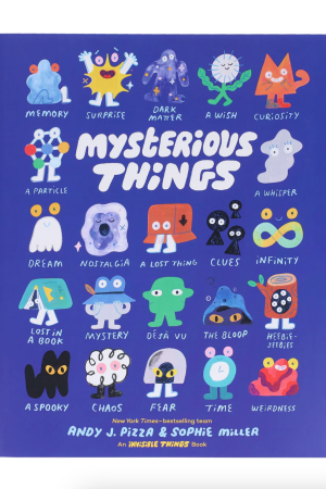 Mysterious Things Book by Andy J. Pizza & Sophie Miller