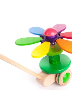 Flower Rainbow Push Toy
