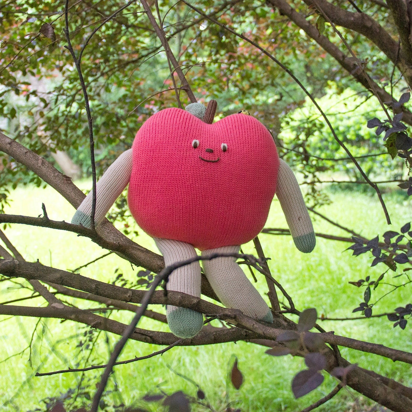 Gala the Apple - Image 4