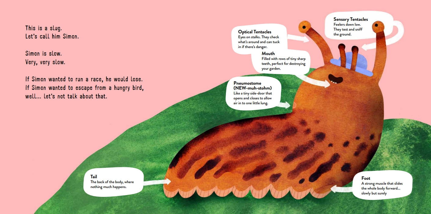 This is What a Slug Does Book by Mimi May & Aniek Bartels - Image 2