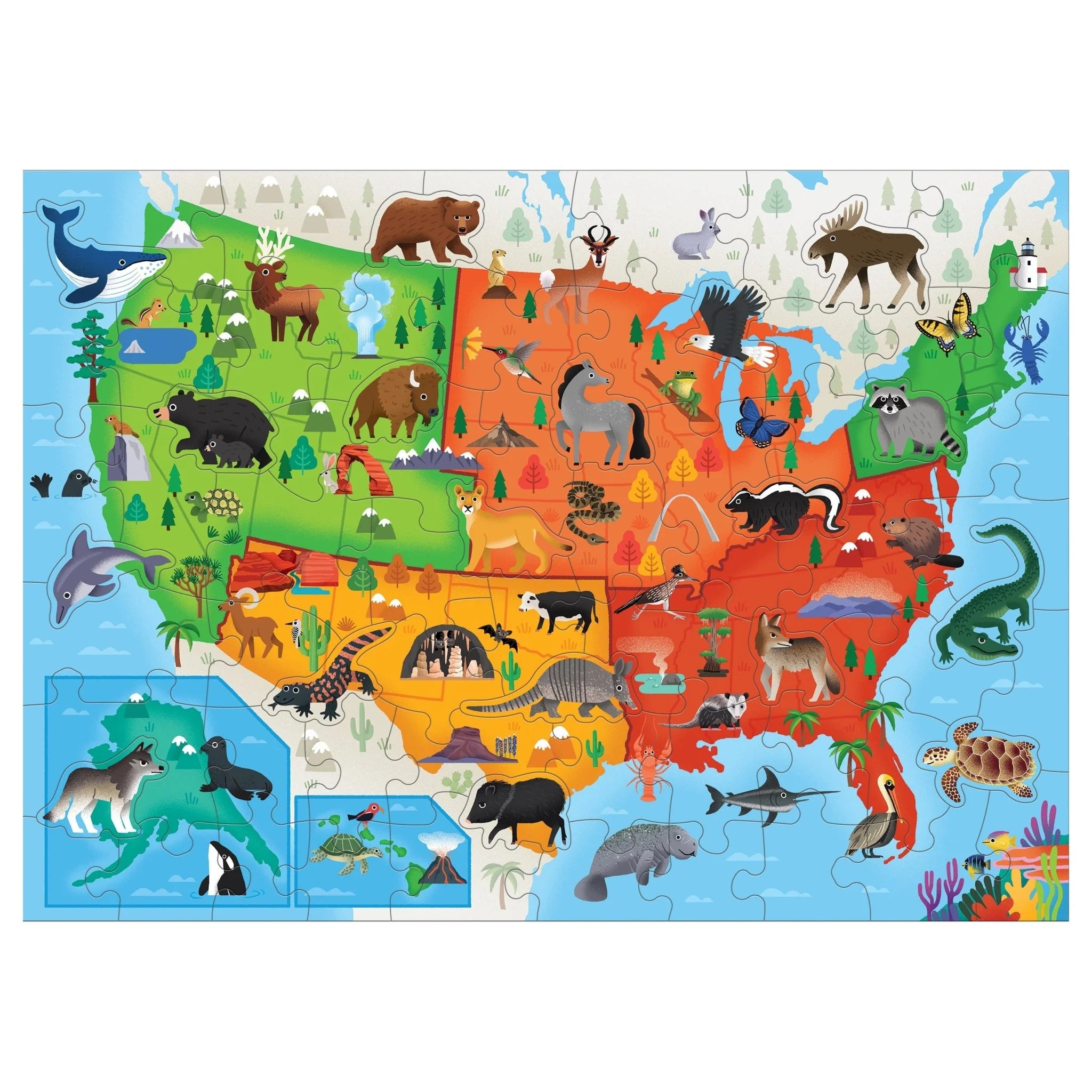 Little Park Ranger National Parks Map of the U.S.A. Geography Puzzle - Image 3