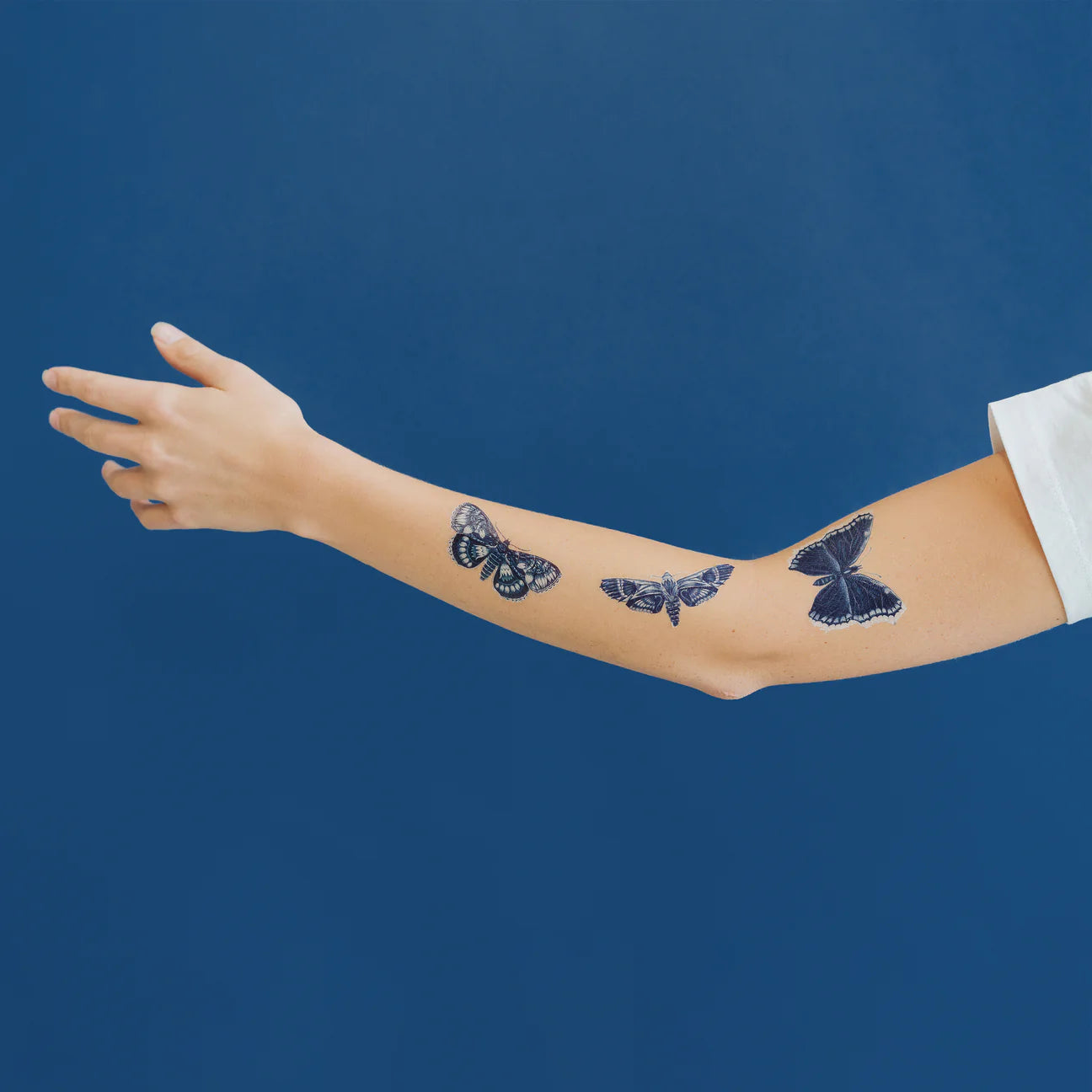 Sapphire Moths Tattoo Pair - Image 2