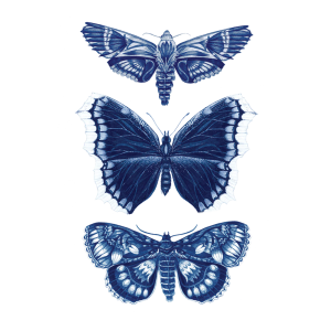 Sapphire Moths Tattoo Pair