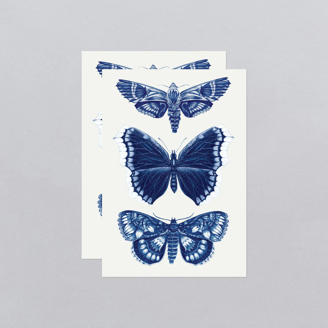 Sapphire Moths Tattoo Pair - Image 4